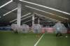 dsc_0030_small.jpg