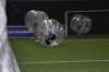 dsc_0059_small.jpg